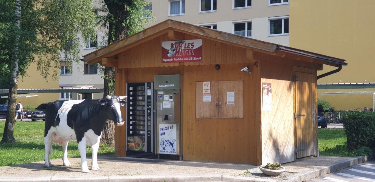 Ferienwohnung Singer Vols Exterior foto
